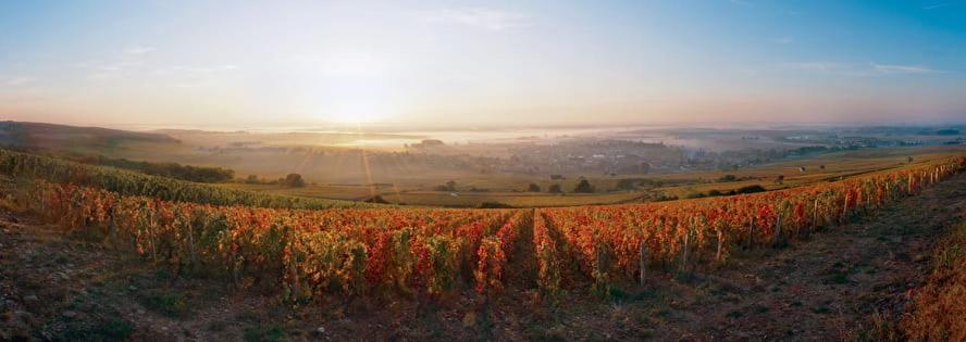 Logis Hotel L'Escargotiere Dijon Sud - Chenôve Zewnętrze zdjęcie
